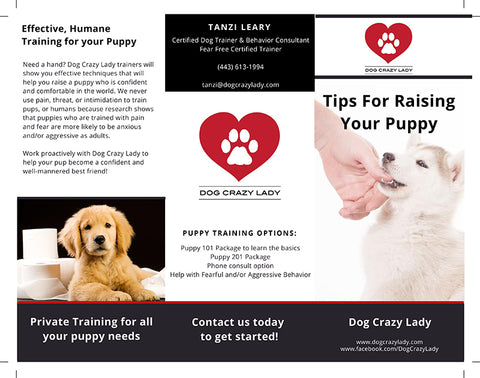 Dog Training Tri-Fold Flyers (8.5 x 11 / 100 lb Text)
