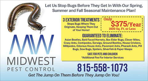 (6" x 11") Pest Postcard #01