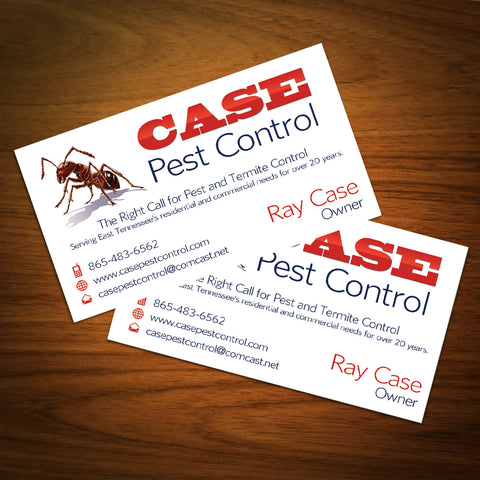 Business Cards - Template #01