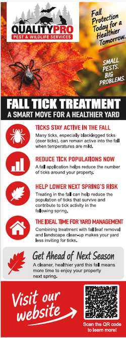 Pest Door Hanger - Full Color - Template #43 - Pest