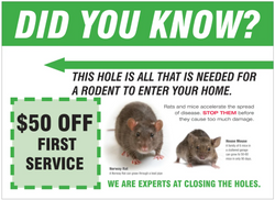 #6  Pest Control (Copy)