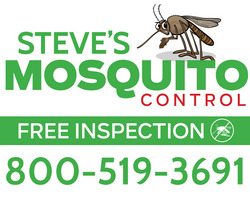 CUSTOM MOSQUITO CARDS-Large Size 10 X 8