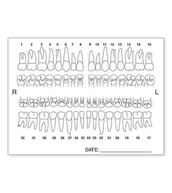 Anatomy Label Tooth Chart #4665