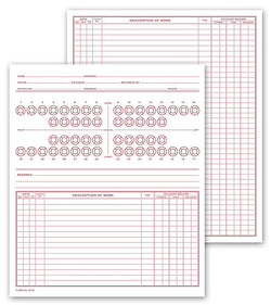 Dental Record, Numbered Teeth System C #D70C