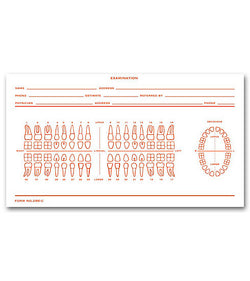 Dental Exam Slip, Numbered Teeth System C #D86C