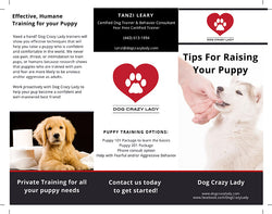 Dog Training Tri-Fold Flyers (8.5 x 11 / 100 lb Text)