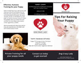 Dog Training Tri-Fold Flyers (8.5 x 11 / 100 lb Cover)