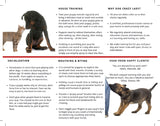 Dog Training Tri-Fold Flyers (8.5 x 11 / 100 lb Cover)