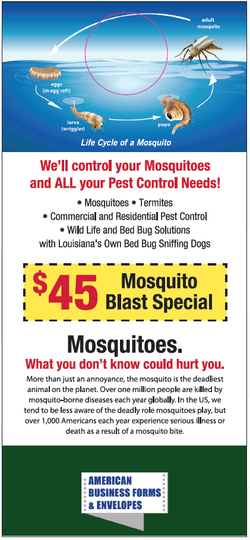 Pest Door Hanger - Full Color - Template #05  - Mosquitoes