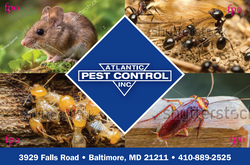 #4 Pest Control