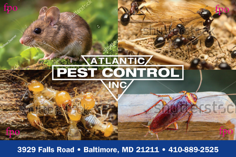 #5 Pest Control