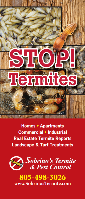 Pest Door Hanger - Full Color - Template #04 - Termites – American ...